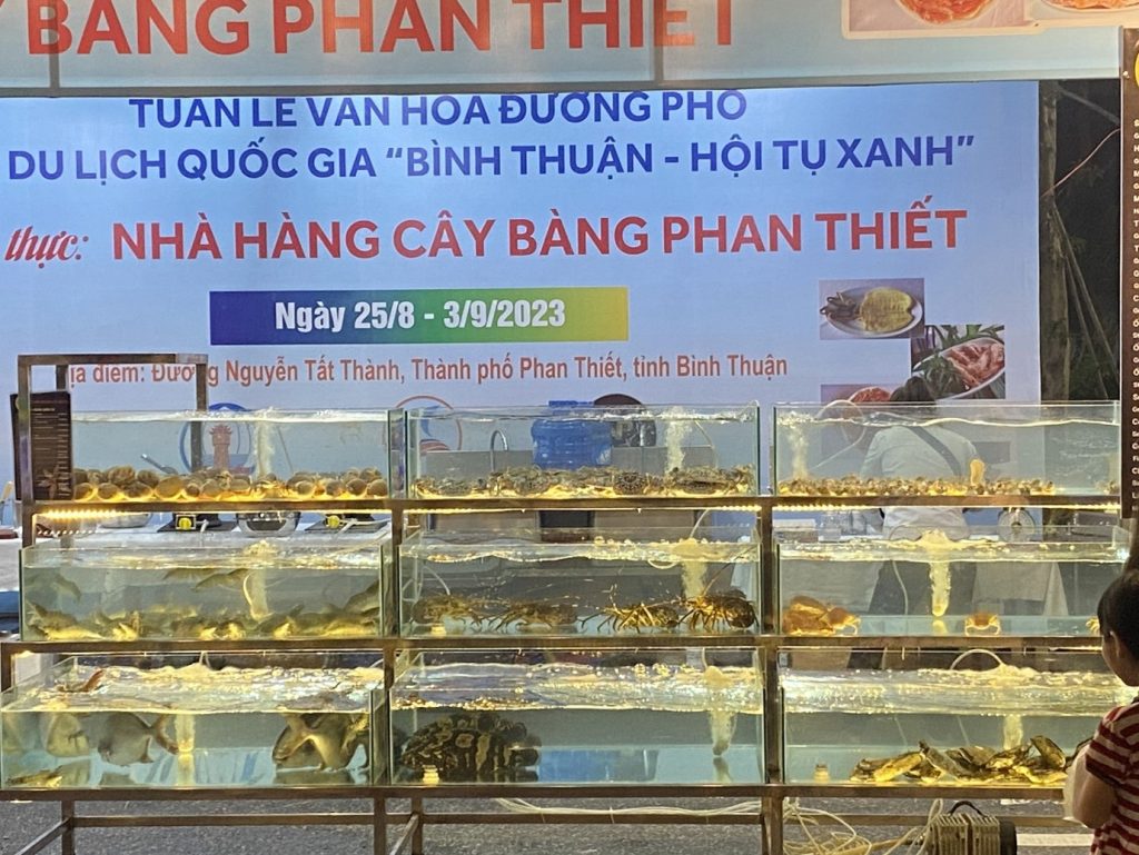 Bình Thuận tưng bừng chào đón Tuần lễ văn hóa đường phố Năm Du lịch quốc gia năm 2023 9 Picture5 1